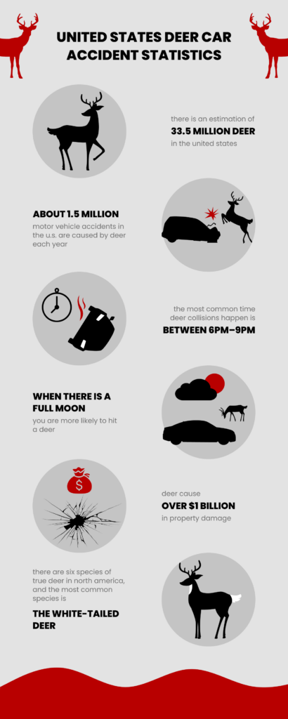How Many Car Accidents Are Caused By Deer? 5 United States Deer Car Accident Statistics 2