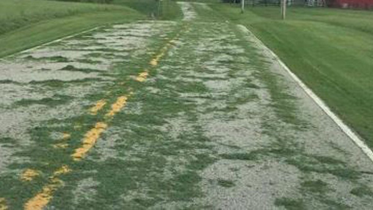 Do Grass Clippings Cause Motorcycle Accidents? 1 Do Grass Clippings Cause Motorcycle Accidents?